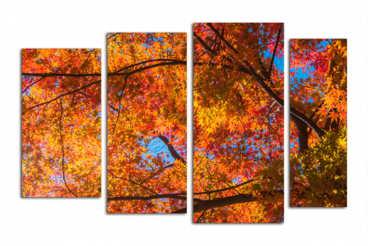 Модульная картина Осенняя листва