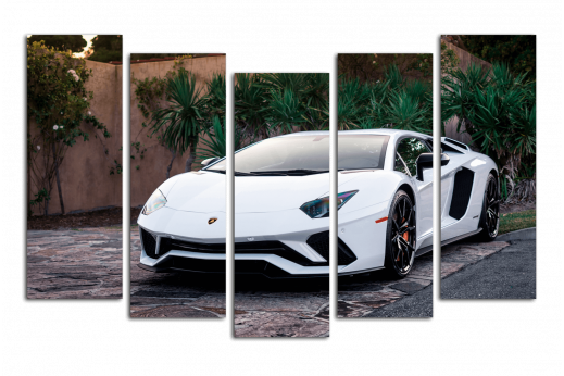 Модульная картина Lamborghini White